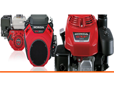 Ремонт бензиновых и электродвигателей в Могилеве